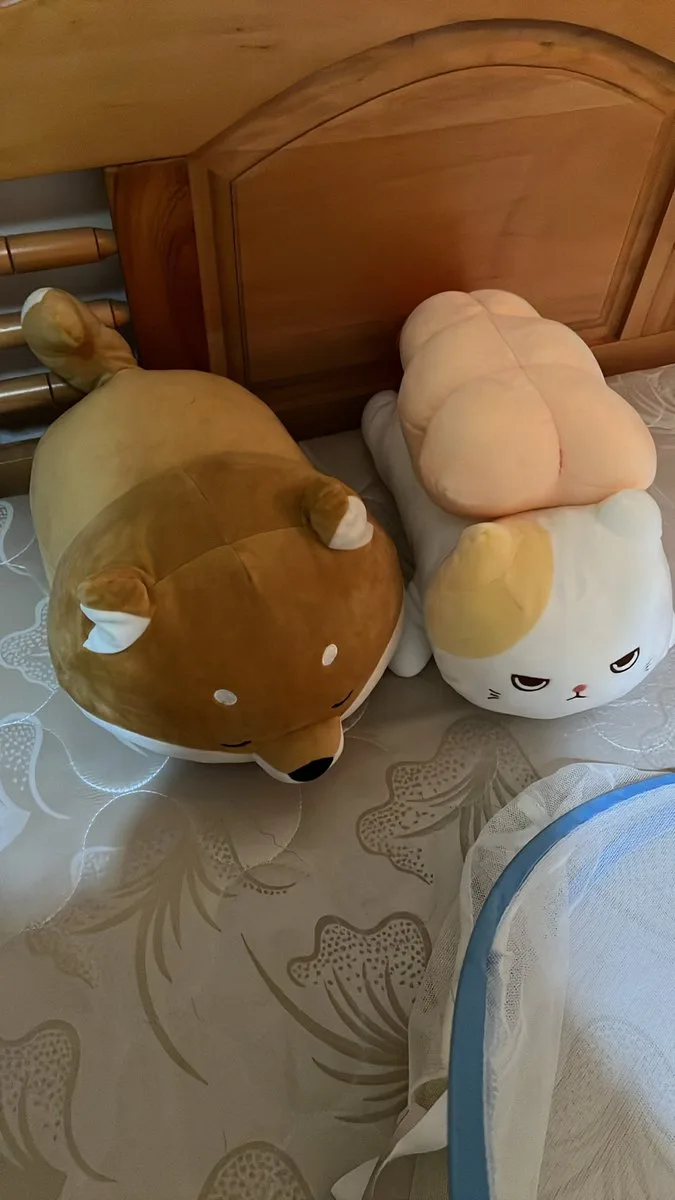 床上放着的两只旧玩偶